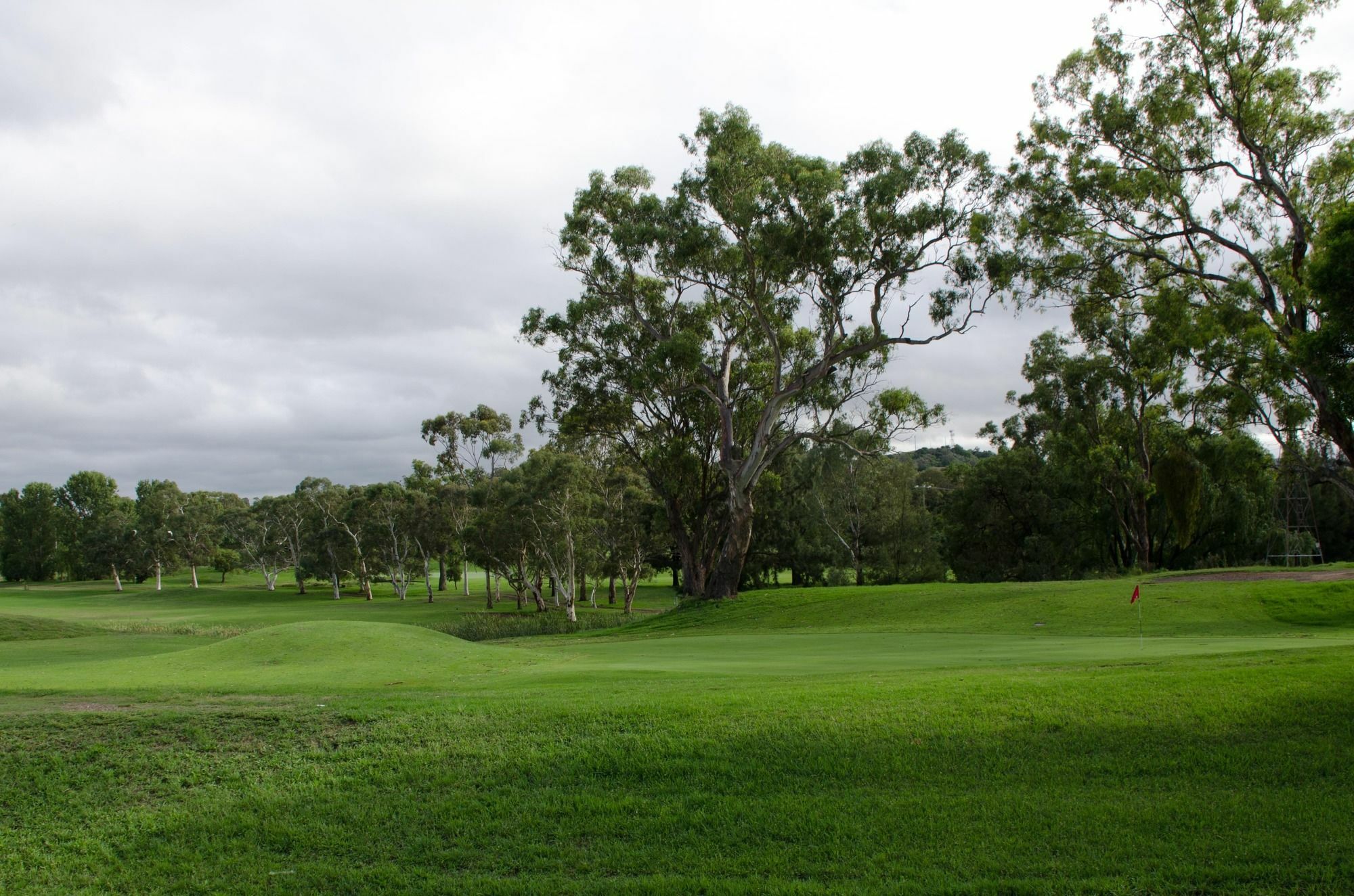 Baybrook Motor Inn Muswellbrook Dış mekan fotoğraf